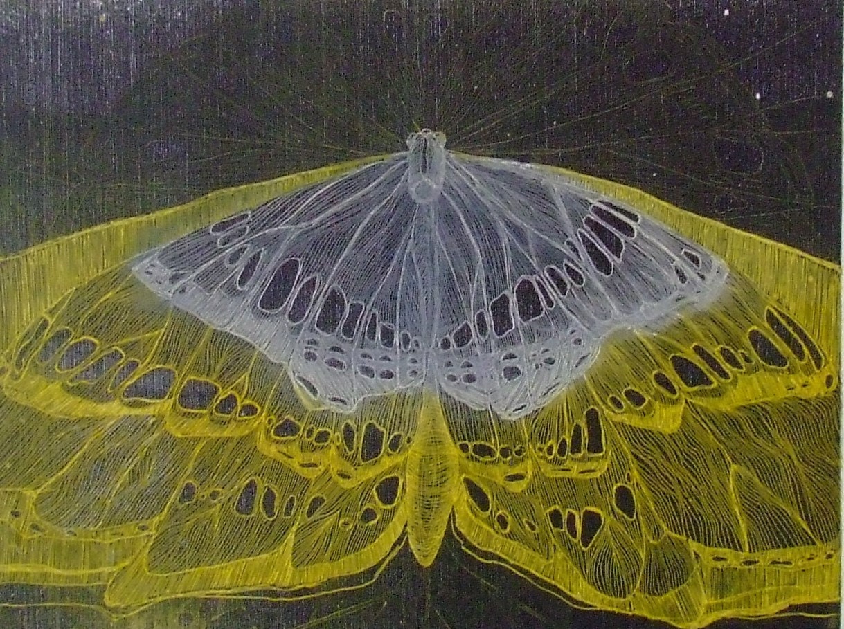 ON SALE Butterfly Intaglio Print