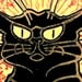 chatnoir77