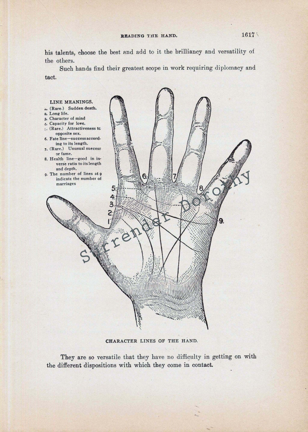 Palmistry Science Of Reading The Hand  Vintage Phenology Chart Medical Quackery 1908