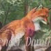 Red & Gray Fox Louis Agassiz Fuertes 1950s Natural History Illustration To Frame