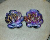 BHG  Black rose seashells