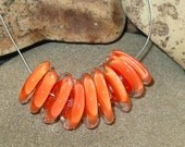 BHG  Tangerine phoenix botanica discs