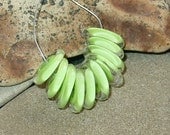 BHG  Pale lime botanica discs