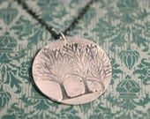 my favorite tree.