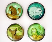 ANIMAL magnet set by boygirlparty, set of 4 woodland animal glass magnets - squirrel deer raccoon owl - nature backyard