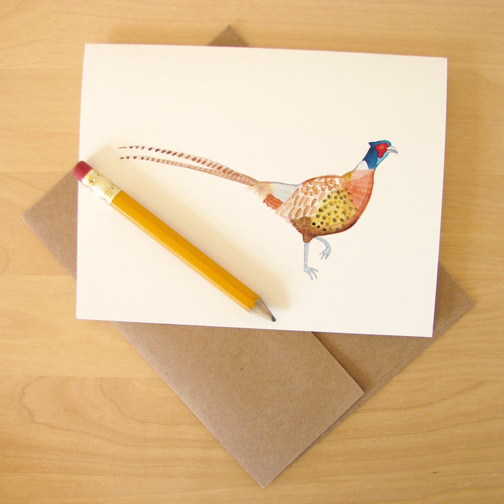 Proud Pheasant card set of FIVE