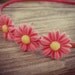 REDUCED - Bright Pink Sunflower Headband