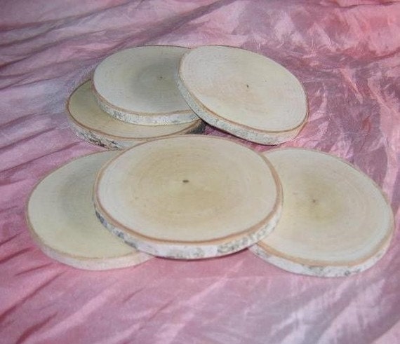 Natures Canvas 6 Birch Branch Slices for Painting Woodburning Drawing Sketching for Ages 2 to Adult or Use for Rustic Decor