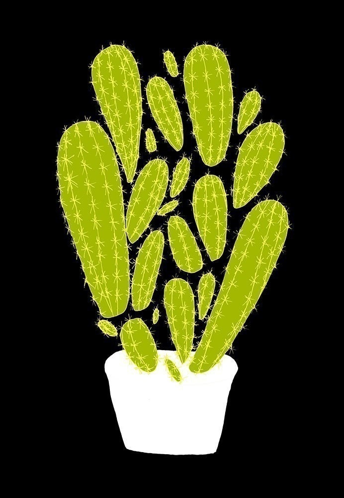Wee Cactus