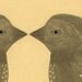 Lovebirds