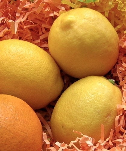 Lemon Glycerin Soap (Actual Size)