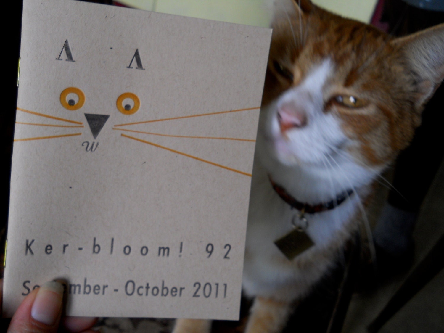 letterpress zine about orange cat