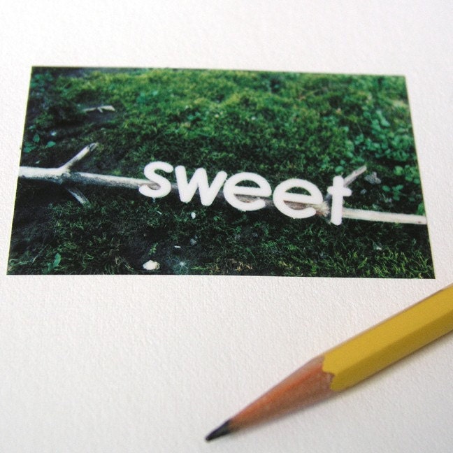 Polaroid Pogo Photography Print - Sweet Moss