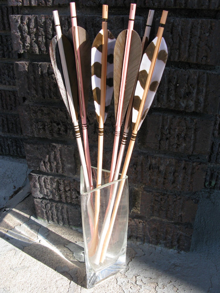 Safari Animal Print Arrows Wildlife Feathers Spotted Decor