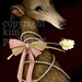 Glamour Greyhound Portrait Signed Print