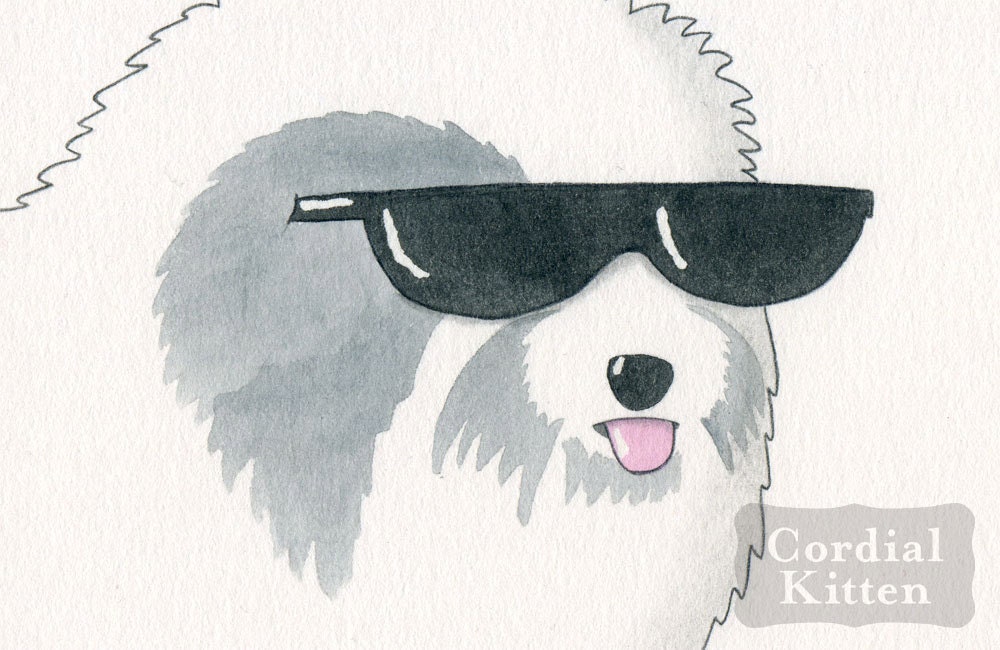That is One Cool Sheepdog