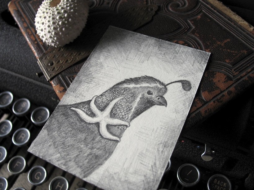 Original Bird Drawing: Good Tidings ACEO