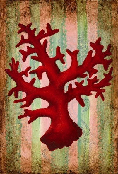 4x6 Print: Red Coral