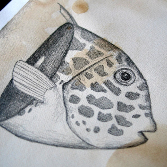 Original Fish Drawing: Puffer