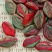 Glass leave beads red tan green 20