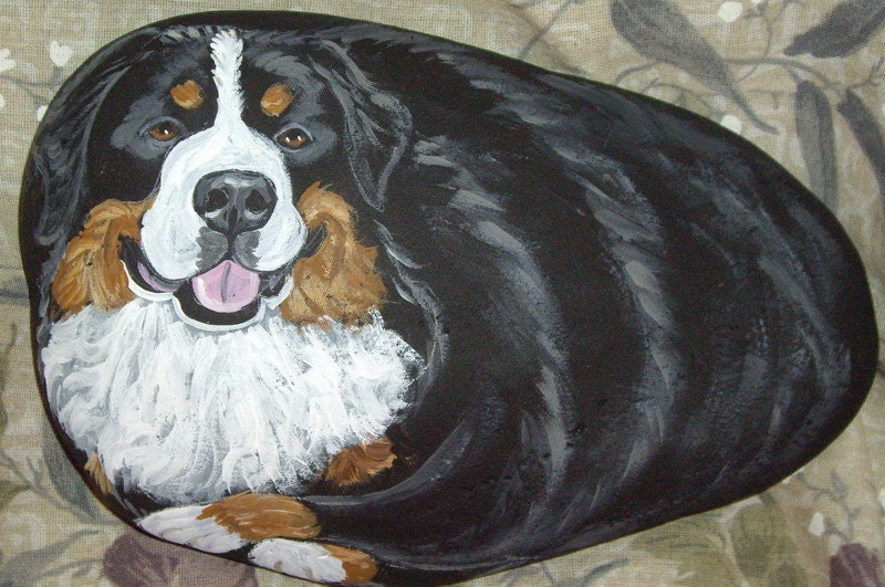 bernese mountain and poodle bernese mountain size bernese mountain and poodle bernese mountain size