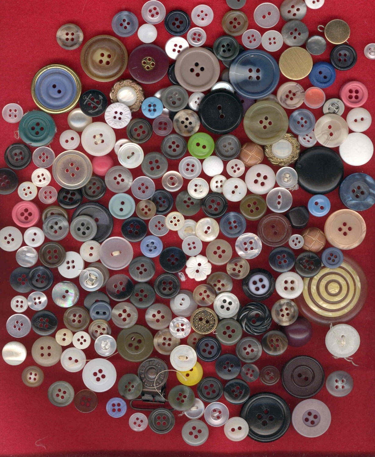 Vintage mostly Plastic BUTTON LOT 4 Art & Craft