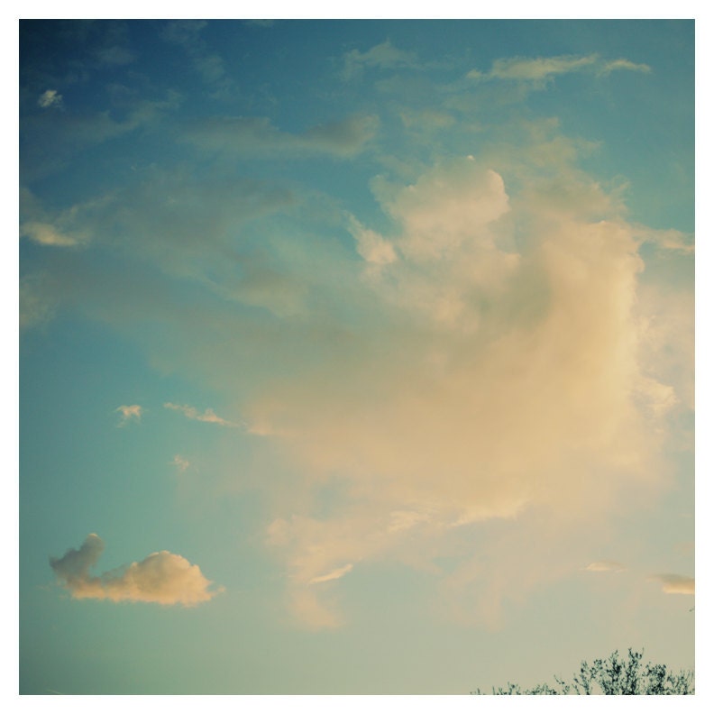 The Whale - Collecting Clouds-  Cloud Photograph - Nature Photography- Michigan - Original Signed Fine Art Photograph