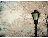 New York City Photograph - NYC - Central Park In Bloom - Original Signed Fine Art Photograph of New York City