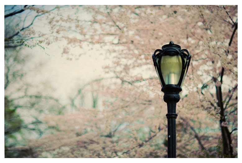 New York City Photograph - NYC - Central Park In Bloom - Original Signed Fine Art Photograph of New York City