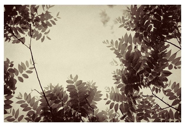 Sex and the City- Plum- Original Signed Fine Art Photograph