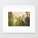 Fern Photograph - Floral Photography - Nature Photograph - Fine Art Photograph - Greener 2 - Grass