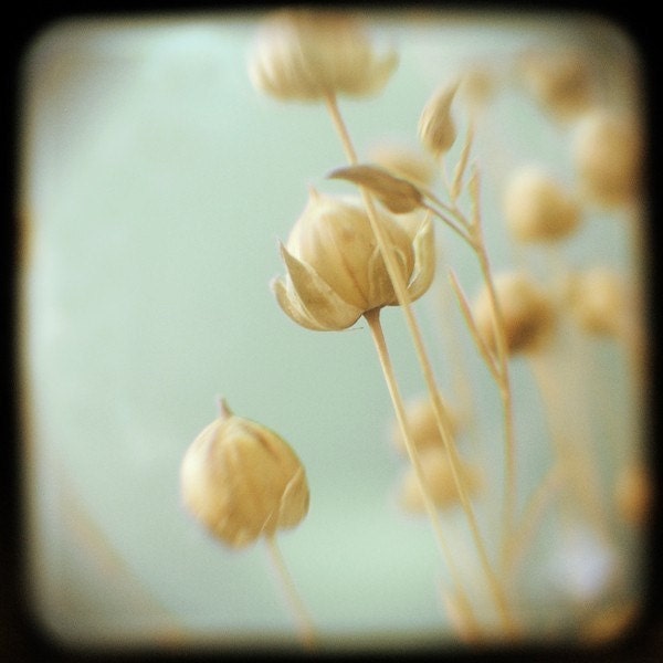 Seafoam - Original Signed Fine Art Photograph