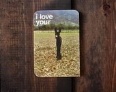 Ass - xoxoxo Love