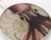 Photo Pendant, Squid and Nautilus