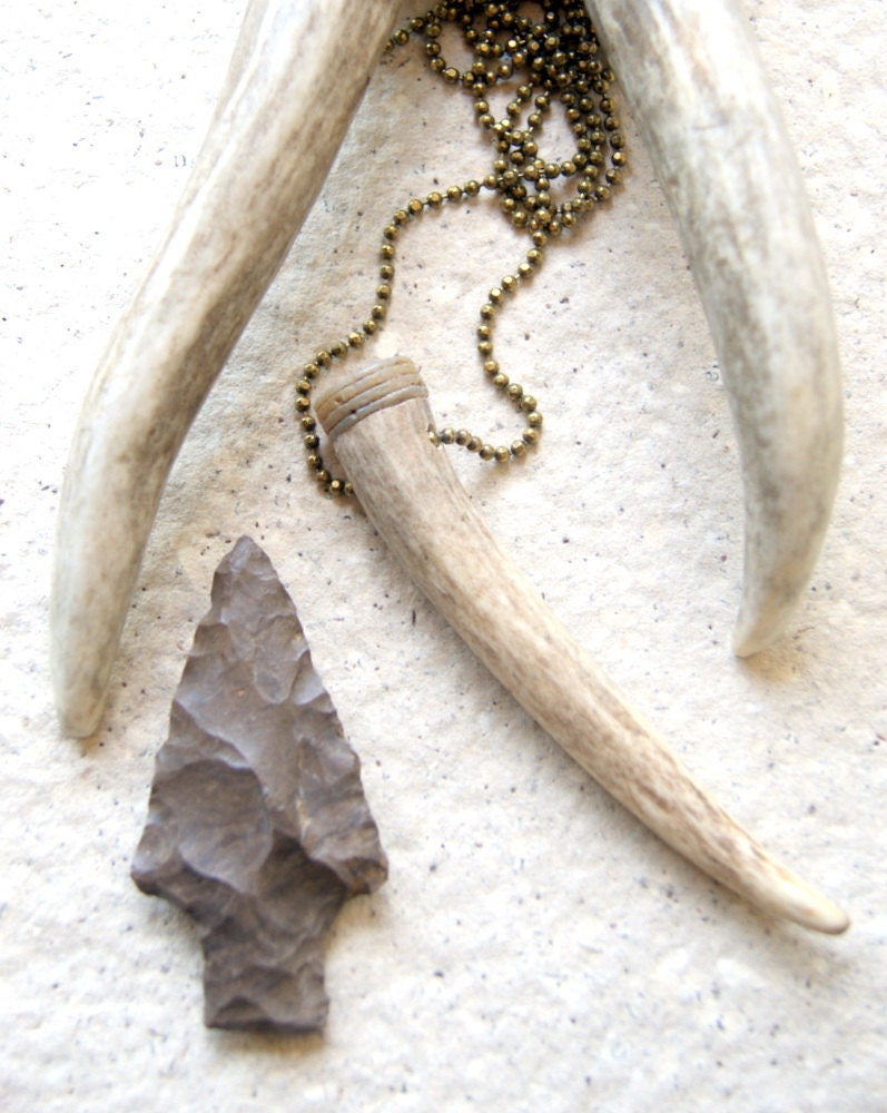 Antler necklace antler tip with crinoid stem tribal boho unisex under 40