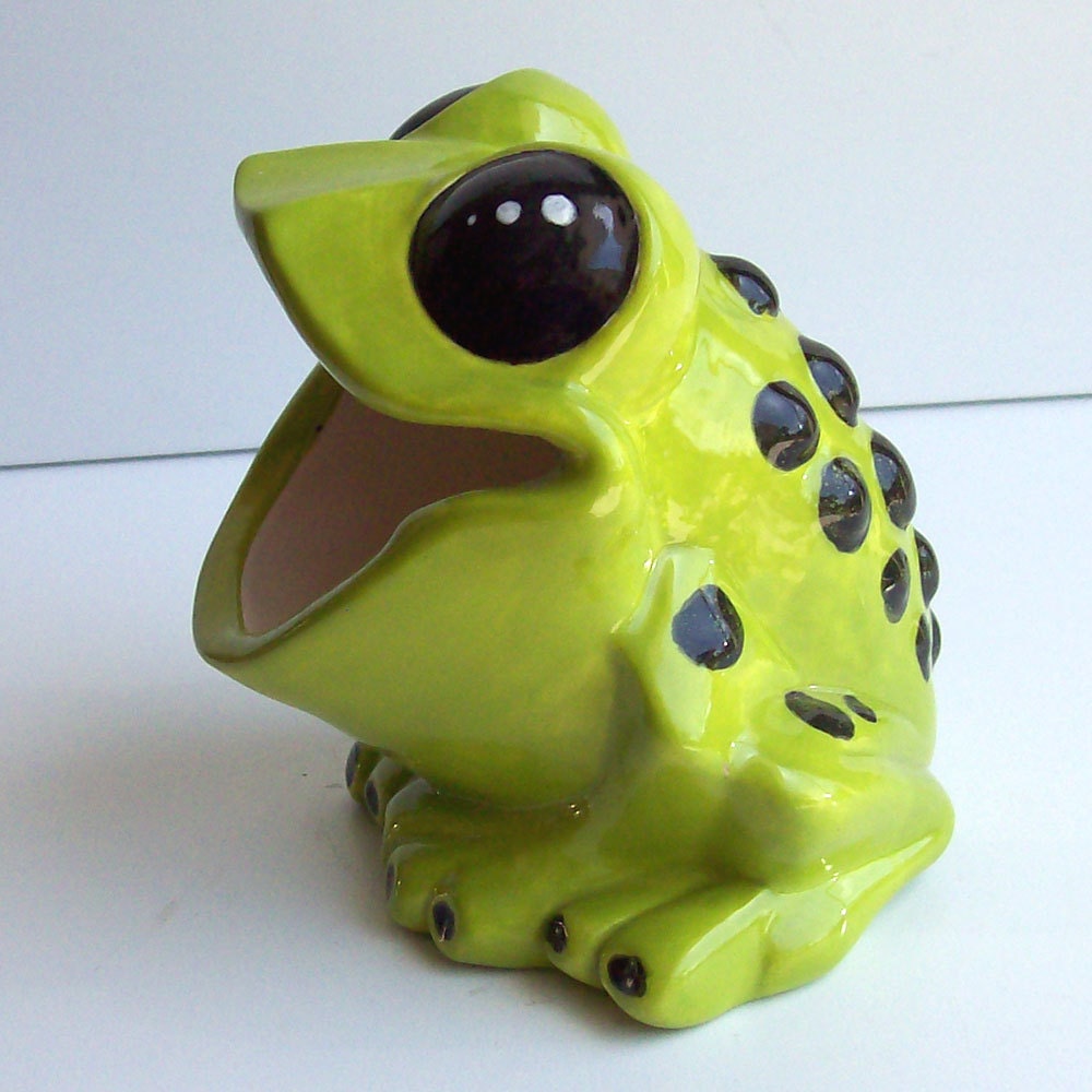 Tree Frog Sponge holder  In Apple Green
