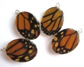 Monarch Butterfly Wing Necklaces, Custom Bridal Set of FOUR, group discount