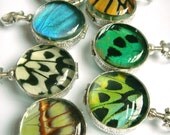 Relic - Real Butterfly Wing Glass Necklace, choose any color