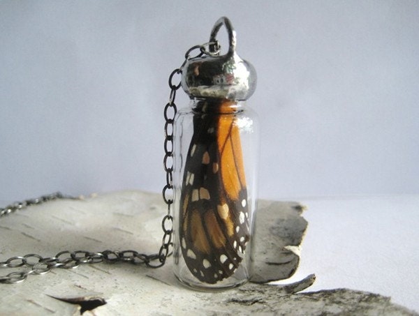Butterfly Study Necklace- real butterfly wings inside a glass bottle, monarch