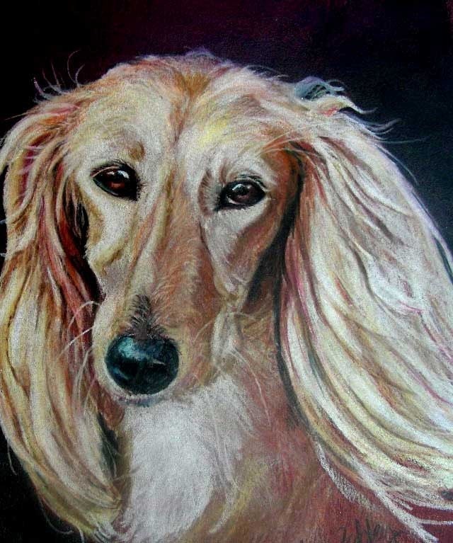Custom Pet Portrait from Photo - 3.5" x 5" -  Saluki or any breed dog or pet by artist Robin Zebley