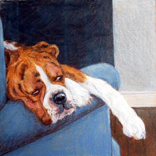 Custom Dog Portrait Original Commission, boxer dog art 7 x7 or 6 x 8 - Sample is Sarge, my boxer boy