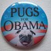 jewell the pug for obama button