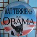 rat terrier for obama button