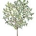 Watercolor Art Print Olive Tree Kitchen Wall Decor