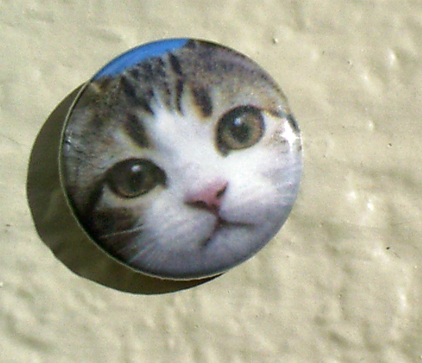 Button My Baby Lola 1 Inch Adorable Kitten Pin