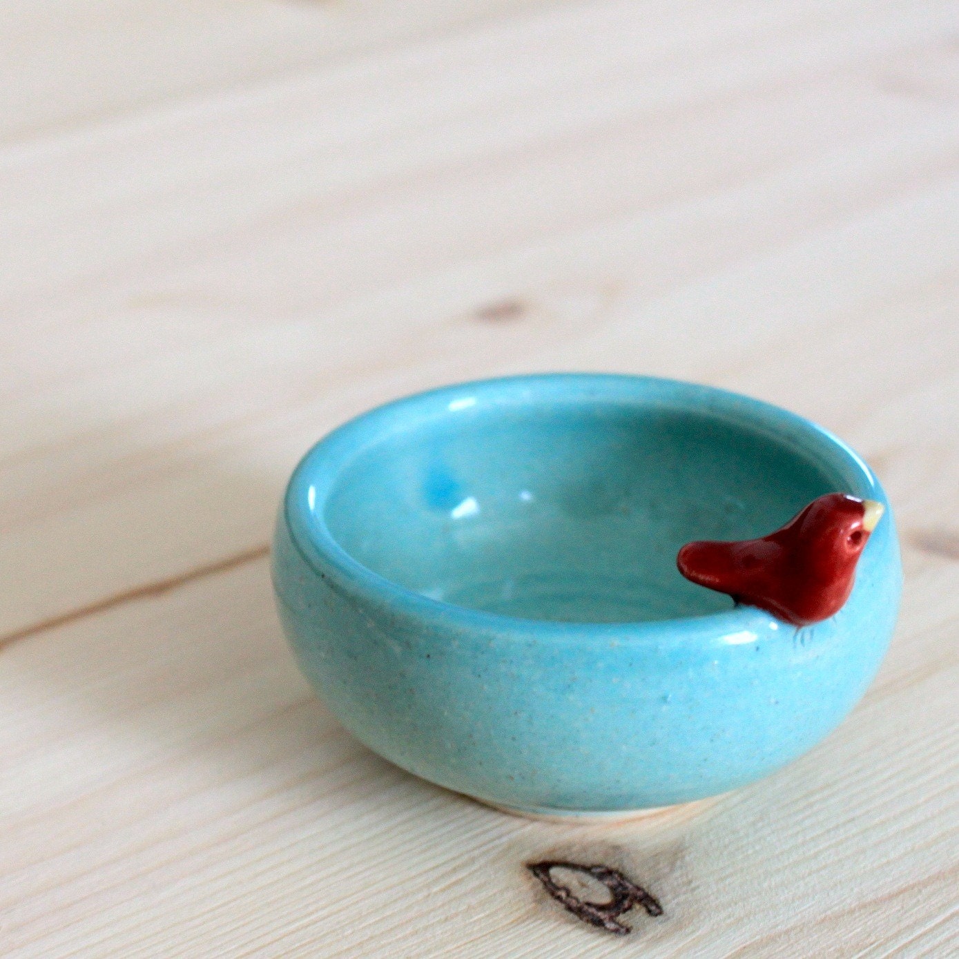 Red Bird on a Tiny Little Aqua Bowl