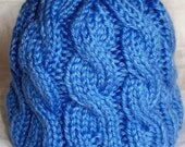 TEEN Hand Knit Hat Soft and Warm with Blueberry Cables for boy or girl
