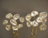 Queen Anne's lace pair of hair combs bridal