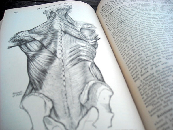 Vintage Gray's Anatomy Book