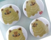 Pomeranian Magnets - Pom-Pom the Pomeranian Puppy - MIPP001